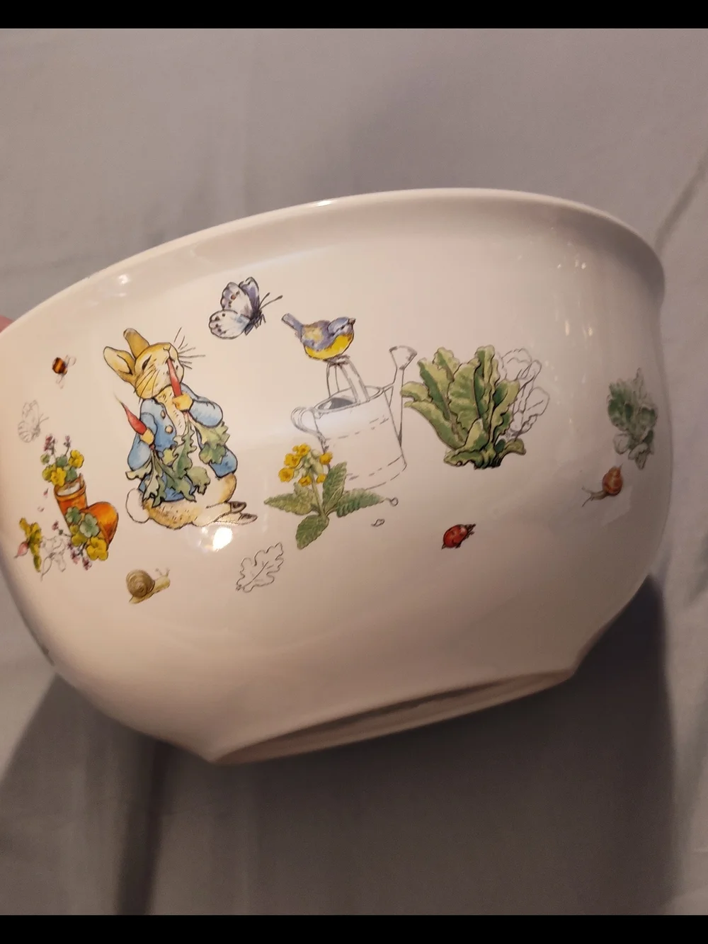 Williams-Sonoma Peter Rabbit Ceramic Bowl